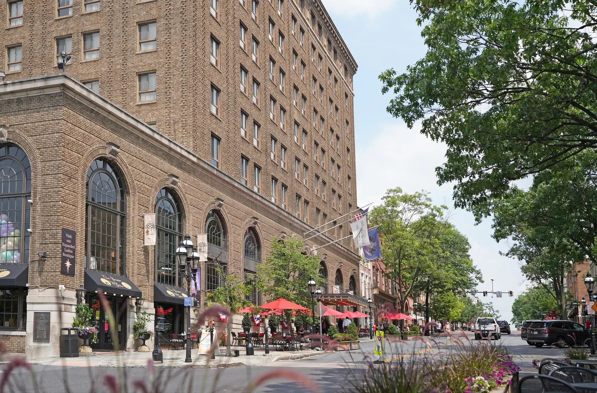 Trees of Historic Bethlehem