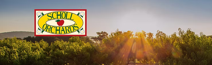 Scholl Orchards logo over a scenic orchard landscape at sunrise, with trees and warm golden light in the background.