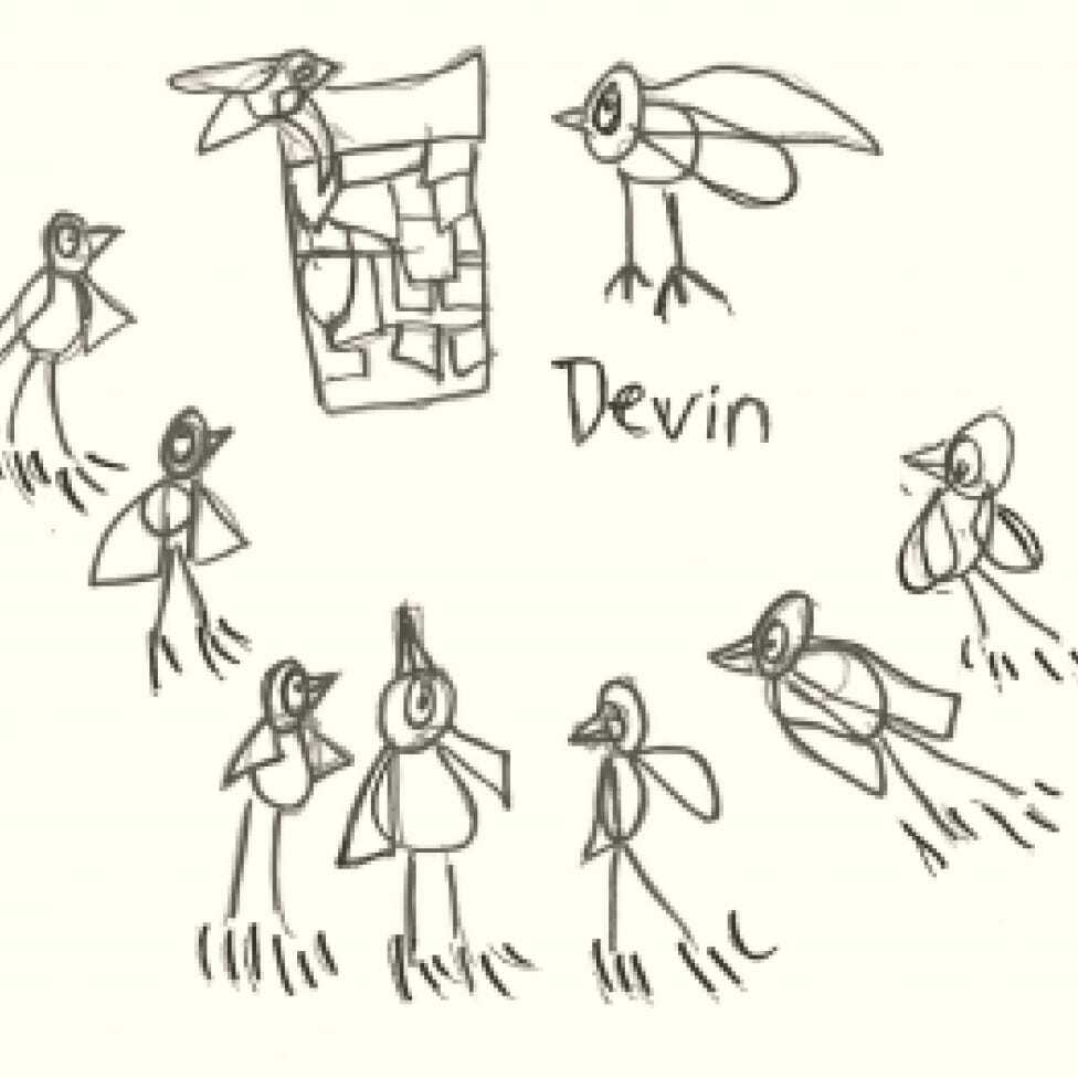 A child’s drawing titled “Devin” depicting several chimney swifts and a brick chimney, sketched in simple black lines on a light background.